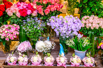 Beautiful flower display with vibrant arrangements in a floral shop showcasing colorful bouquets and decorative pots