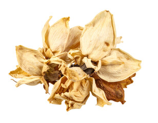 Dried jasmine flowers close up isolated on transparent background