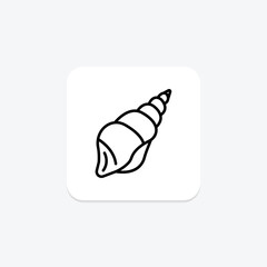 Seashell, vector, pixel perfect, illustrator file