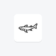 Bamboo Shark, vector, pixel perfect, illustrator file