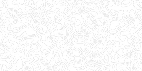 Topographic background and texture, monochrome. Black and white abstract Seamless Pattern with Contour Lines map.