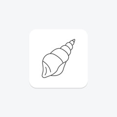 Seashell, vector, pixel perfect, illustrator file