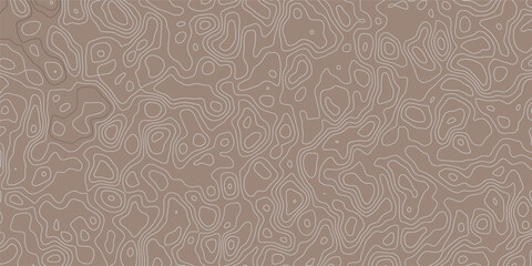 Topographic background and texture, monochrome. Black and white abstract Seamless Pattern with Contour Lines map.