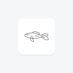 Mudskipper, vector, pixel perfect, illustrator file