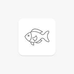 Anthias, vector, pixel perfect, illustrator file