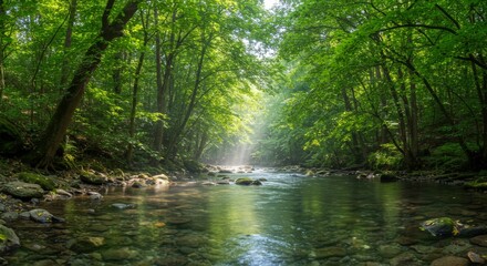 Sunlit River in Lush Green Forest