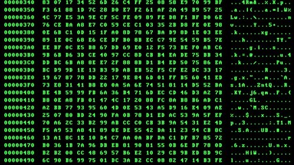 Scrolling green hex dump terminal screen animation with offset, hex bytes and ASCII columns, classic hacker-style data stream, ideal for tech, coding, or cybersecurity themes, alpha channel - Powered by Adobe