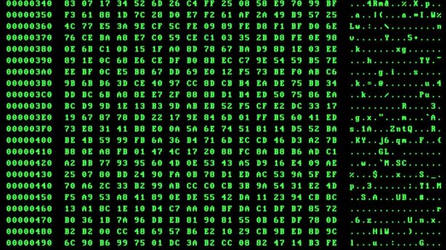 Scrolling green hex dump terminal screen animation with offset, hex bytes and ASCII columns, classic hacker-style data stream, ideal for tech, coding, or cybersecurity themes, alpha channel