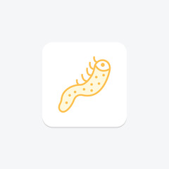 Sea Cucumber, vector, pixel perfect, illustrator file