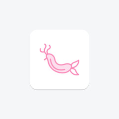 Fototapeta premium Nudibranch, vector, pixel perfect, illustrator file