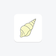 Seashell, vector, pixel perfect, illustrator file