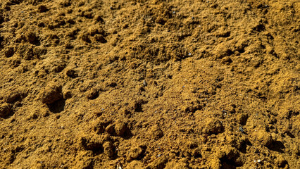 Close-up of brown soil texture with various pebbles and earth