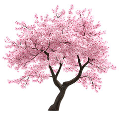 Naklejka premium Pink Cherry Blossom Tree Spring Bloom Nature Beauty,