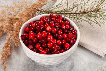 Ripe sweet sour cranberry heap