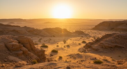 Naklejka premium Golden Desert Sunset Landscape