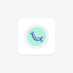 Nudibranch, vector, pixel perfect, illustrator file