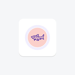 Zebra Shark, vector, pixel perfect, illustrator file