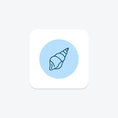 Seashell, vector, pixel perfect, illustrator file