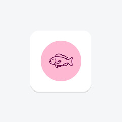 Grouper, vector, pixel perfect, illustrator file
