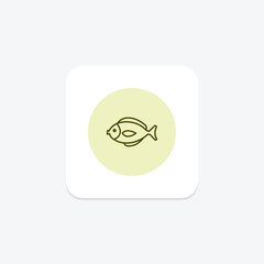 Surgeonfish, vector, pixel perfect, illustrator file