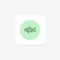 Guppy, vector, pixel perfect, illustrator file