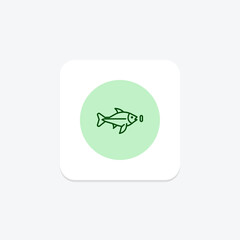 Archerfish, vector, pixel perfect, illustrator file