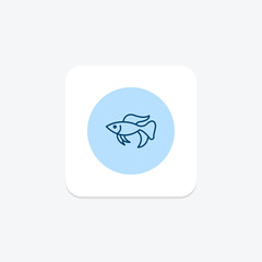 Betta Fish, vector, pixel perfect, illustrator file