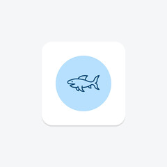 Fototapeta premium Frilled Shark, vector, pixel perfect, illustrator file