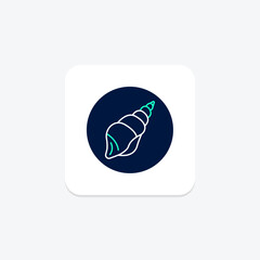 Seashell, vector, pixel perfect, illustrator file