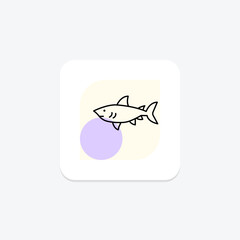 Dogfish, vector, pixel perfect, illustrator file
