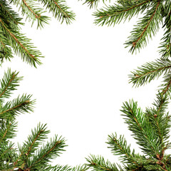 Fir branch festive frame element on transparent background