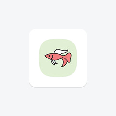 Betta Fish, vector, pixel perfect, illustrator file