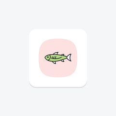 Anchovy, vector, pixel perfect, illustrator file
