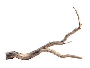 A dead wood, white background, clean background