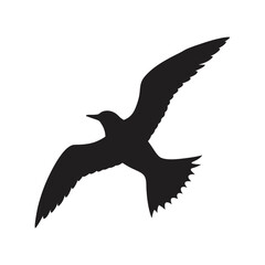 bird soaring in the sky silhouette vector