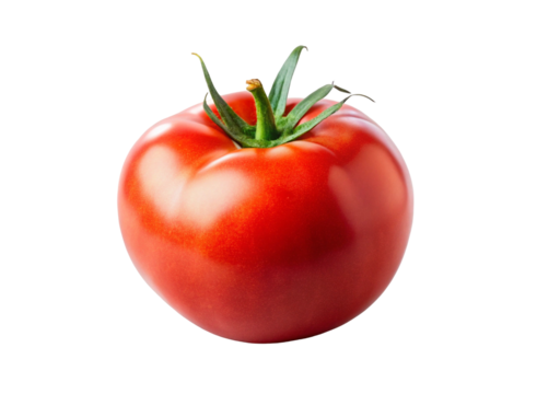 Fresh Red Tomato with Green Stem on White Surface.