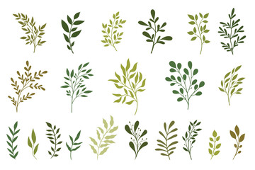 Floral Herb Design elements. Perfect for wedding invitations, greeting cards, blogs, posters and more.