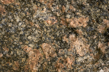 Textured Rock Surface Highlighting Natural Patterns and Colors in an Outdoor Location During Daylight.