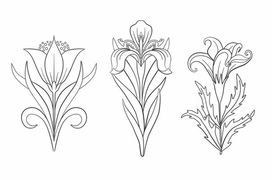 Symbol motif design. vintage design.