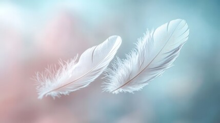 Naklejka premium Delicate white feathers floating gently in soft pastel hues.