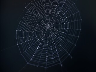 Intricate Spiderweb Background A Delicate Home of Nature's Design