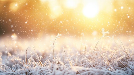 Winter Wonderland: Frost-Covered Grass Under a Golden Sunrise