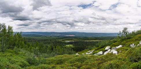 Vast green valleys and rocky terrains are visible under a cloudy sky in Fulufjället National Park in Dalarna Sweden. This serene landscape showcases diverse natural beauty and tranquility