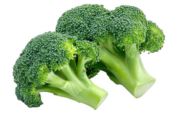 broccoli isolated on white background