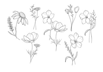 Hand drawn set sketch illustration in line art style elegant bouquets with wild flowers, herbs, spikelets for colouring book, textile, cards, packaging and decor, tattoo.