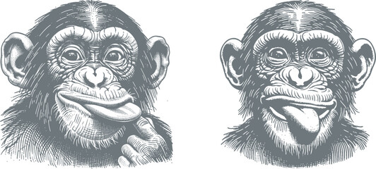 Funny Chimpanzee Making Silly Face – Hand-Drawn Woodcut Style Animal Art | Engraving Design for Posters, T-Shirts, Stickers, and Home Decor