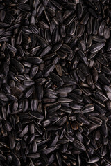 Black sunflower seeds texture background close-up