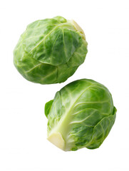 Fototapeta premium Two fresh green brussel sprouts are isolated on a bright white background and displayed at an angle to highlight their texture and vibrant color perfectly.