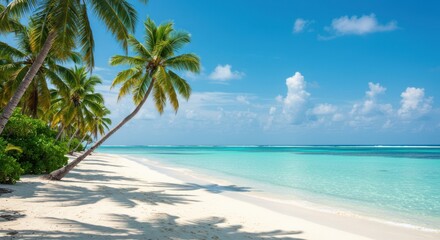 Tropical beach scene with palm trees white sand and turquoise water.