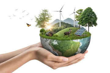 hands holding green earth